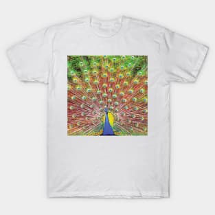 Beautiful Bohemian Peacock with Colorful Green Blue Yellow Pink Boho Feathers in Botanical Nature T-Shirt